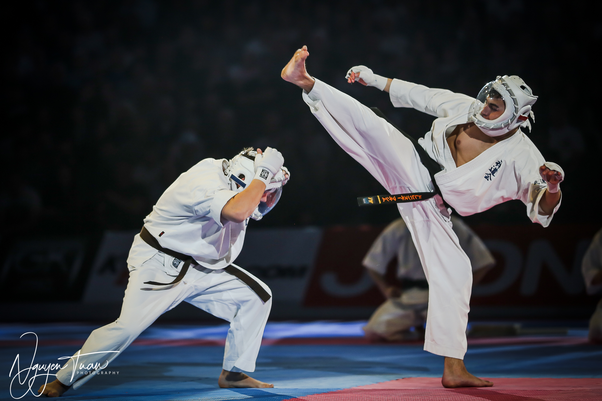 20190324 Festival des Arts Martiaux 3176